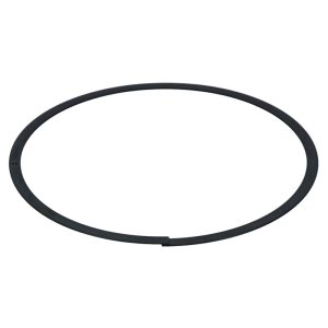 BMW M3 Brake Rotors (2) - Rear - R1 Concepts - Geoperf Drilled & Slotted - `00-`06